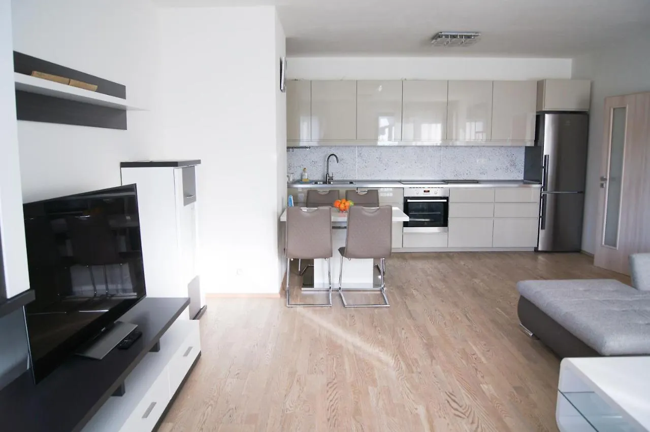 Luxury Apartments In Praga